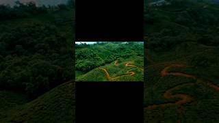 OLD TOWN ROAD dronevideo trending viralvideo ns200cc [upl. by Karlan]