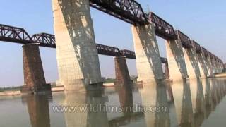 Rajghat Bridge on Chambal River near Gharial Sanctuary [upl. by Obadias]