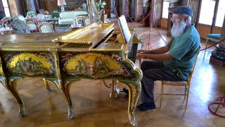 Tom Groot improvises on an Erard Piano in Chateau de Bizy Vernon France [upl. by Enigroeg]