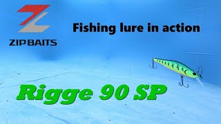 Zip Baits Rigge 90 Sp underwater footage and lure action [upl. by Avril329]