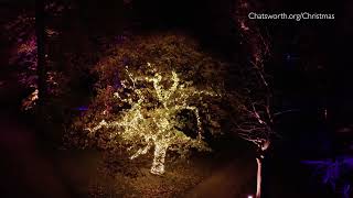 Christmas garden light trail at Chatsworth 2022 [upl. by Haeel]