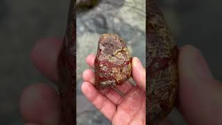 球顆流紋岩？ condylar rhyolite？condylar rhyoliteshorts jaspercondylar rhyolite石拾いジャスパー [upl. by Sivam]