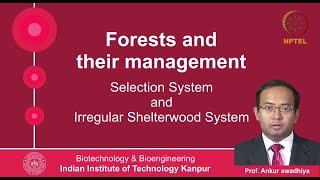 noc20bt01lec24 Lecture 24 Selection System and Irregular Shelterwood System [upl. by Lohner]