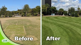 Fixing An Ugly Zoysia Lawn [upl. by Harneen572]