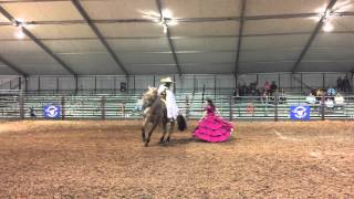 Latigo Dun It Hollywood  American Quarter Horse stallion as seen at the Austin Rodeo in Texas [upl. by O'Connell]