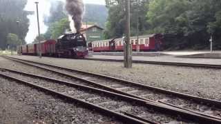 Die Harzquerbahn im Sommer 2014 Harzbulle BR 99 6001 Fahrradwagen [upl. by Hortensia]