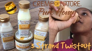 15 Creme of Nature Pure Honey  3 Strand Twistout [upl. by Cleon305]