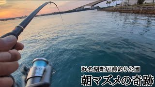 最新浜名湖釣果情報📢【浜名湖釣り】🎣まさかのラストでドラグが止まらない🐟 [upl. by Emilio489]