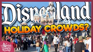 How CROWDED is Disneyland for the Christmas Holiday Season [upl. by Aceissej]