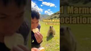 From Marmet Association 🤣😂🤣  shorts viralvideo [upl. by Armstrong]