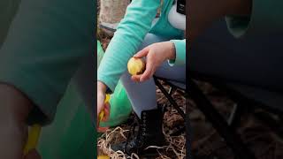 Evelina went on a hike in the forest camping [upl. by Asserat]