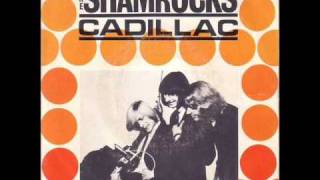 The Shamrocks  Cadillac 1965 [upl. by Aslehc288]