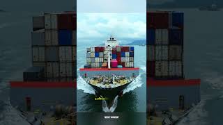 The True Cost of Running a Cargo Ship shorts shortvideo facts [upl. by Nnylaj]