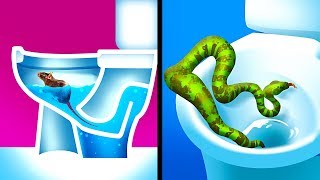 4 Tiere die leicht durch die Toilette zu dir kommen [upl. by Skricki]