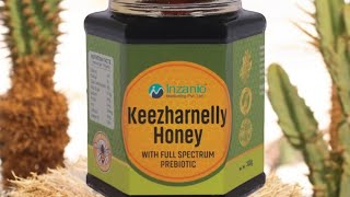 Inzanio Keezharnelli Honey Hindi [upl. by Immanuel]