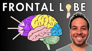 The Frontal Lobe  Location and Function [upl. by Ecinehs]