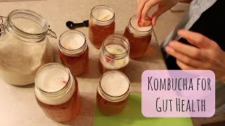 Kombucha 101  Easy Kombucha Recipe [upl. by Druce]