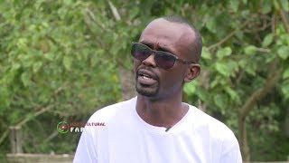 Young successful Horticulture farmer – Rodgers Kirwa [upl. by Vaughan964]