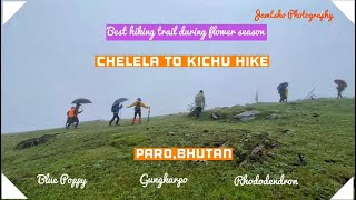 Chelela To Kichu HikeBhutan 4K [upl. by Tindall]