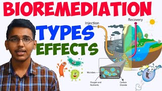 what is bioremediationtypeseffects [upl. by Htnamas]