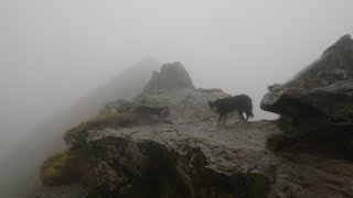 Sharp Edge Blencathra November 15th 2024 [upl. by Chadbourne]