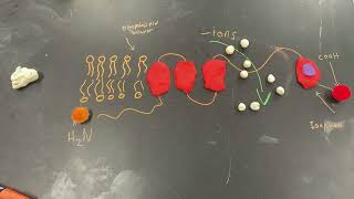 Cell Signaling [upl. by Fortuna]