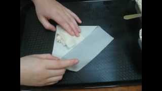 Spring Roll  Folding Techniques Square Pastry [upl. by Podvin458]