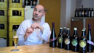 Brew IT la birra artigianale in Italia 2012 [upl. by Aerdied]