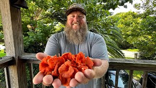 Wild Mushrooms amp Venison  Hunter Gatherer Episode  Living Off The Land [upl. by Zebaj237]