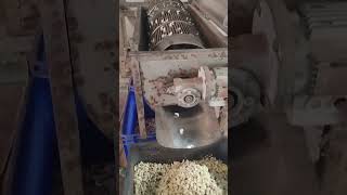 Cashew nuts manufacturing vlog [upl. by Odlonyer]