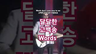 설탕처럼 달달한 가사와 멜로디 Words 추억의팝송 F R David 가사 lyrics [upl. by Eicats356]