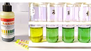 Water pH Test Practical Experiment [upl. by Nywg]