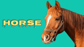 Horse sounds horse neighing [upl. by Coopersmith]