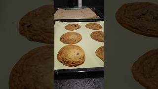 making chocolate chip cookies 🍪shorts youtube youtubeshorts chocolatechipcookies cookie baking [upl. by Aniluap911]