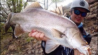 SOUTH EAST QUEENSLAND FISHING TRIP [upl. by Lizned]