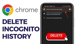 How To Delete Incognito History on Google Chrome Android  2024 Full Guide [upl. by Beora]