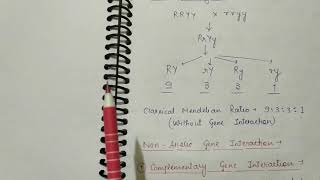 Non allelic gene interaction [upl. by O'Gowan]