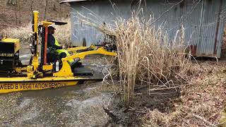 Removing Cattails with Weedoo shorts [upl. by Tibbs946]