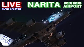 【LIVE】23102 Part2 成田空港 NARITA AIRPORT plane spotting [upl. by Aerdnaz392]