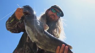 Lake Chabot Bass amp Whopper Catfish Summer Fun Junk Fishing amp More July Central CA [upl. by Hindorff]