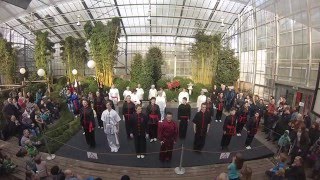 Wushu Team Zhao Kung Fu Tai Chi Show Drachentanz und Workshops  Botanika Bremen 2016 [upl. by Ezeerb]