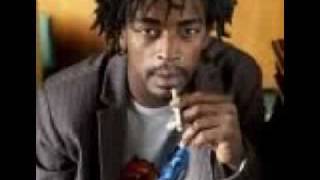 Seu Jorge Burguesinha Remix 2010 Musica Eletronica [upl. by Bunow]