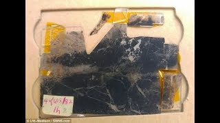 Oldest fossils EVER found suggest life on Earth began more than 35 billion years ago [upl. by Crispa]