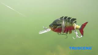 TRUSCEND Jointed Swimbait Bionic Tilapia Fishing Lure [upl. by O'Neil]