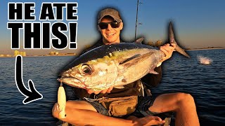 Blackfin Tuna on a POPPER Hobie Lynx Offshore Fishing [upl. by Lelith]