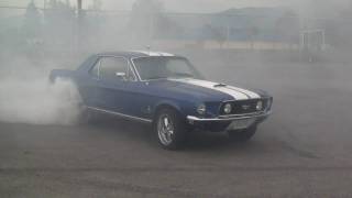 Stefs 68 Mustang Burnout 115 Long [upl. by Airekal349]