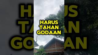 musim mangga harus tahan godaan [upl. by Elenahc]