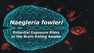 Naegleria fowleri and Potential Exposure Risks to the Brain Eating Ameba [upl. by Center823]