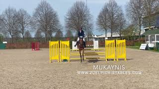 Mukaynis  Aachen 20240406 For Sale [upl. by Ullund]