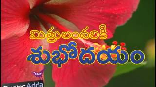 Telugu Good Morning Whatsapp Video  QuotesAddacom [upl. by Liban]